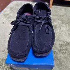 Item thumbnail for item 24de120c-46b7-4171-81ee-6fb9b9fcab5b