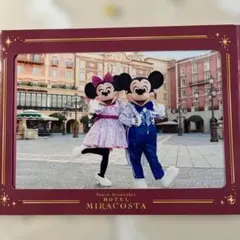 東京ディズニーリゾート 25周年 スペシャルフォト台紙付き★ミラコスタ★