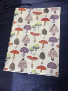 Item thumbnail for item 89e6640f-cc7e-41d4-ad5c-6b1294367e76