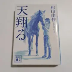 天翔る