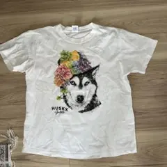 ユニセックス ハスキージェラート ハスキー犬 Tシャツ M