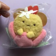 すずずラーメンたろう꒰⍨꒱様 リクエスト 2点 まとめ商品