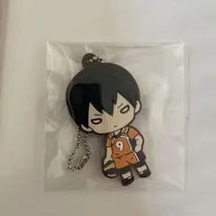 ハイキュー　にとたん　思い出　日向影山　未開封 ハイキュー にとたん 思い出 日向影山 未開封 にとたん ハイキュー