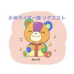 かめライダー様 リクエスト 8点 まとめ商品