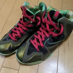 NIKELeBron11KingsPRIDEブラック/グリーン/レッド