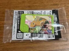 ポケモンフレンダ カイリュー スペシャルピック