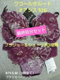 2025年最新】ワコール サルート 52Gの人気アイテム - メルカリ