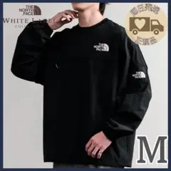 韓国限定 ノースフェイス アルバニー EX クルーネック 黒 M ロンT 正規品