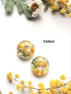 M ハンドメイドピアスイヤリング　レジン　ミモザドライフラワー　銀箔　本物のお花