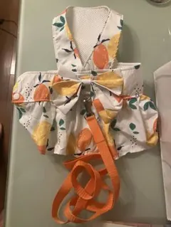 L-XLサイズ、犬用ワンピース、ベスト、リード