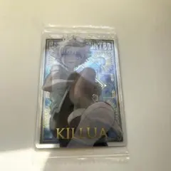 イタジャガ HUNTER × HUNTER 3 SPキルア【金色箔押し】のサムネイル