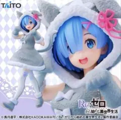 【未開封】Re:ゼロから始める異世界生活 レム パックイメージver.フィギュア
