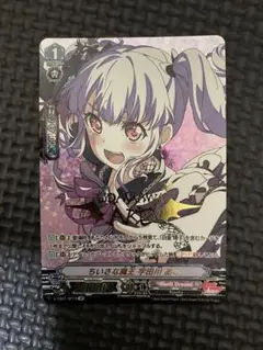 ヴァイス 宇田川あこ サイン 71PUxAwp+DL._UF350,350_QL50_.jpg