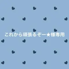 これから頑張るぞー★様専用 大きめ可愛い ペーパークリップ バインダー貯金