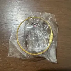 わんこのタイムカプセル