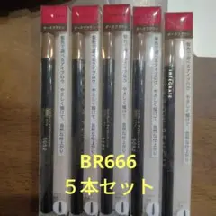 ❍5本セット❍　インテグレートアイブロウペンシルN　BR666