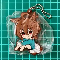 2026年最新】アグネスタキオン ラバーマスコットの人気アイテム - メルカリ