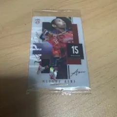 女子バレー ウエハース 宮部藍梨 レア