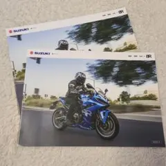 Item thumbnail for item 352997e9-182b-4db9-8ec1-8bb6e22c8e88