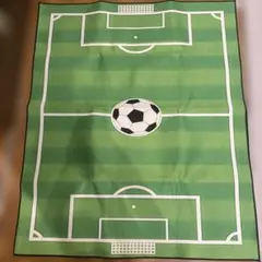 サッカーコートラグ