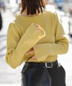 袖フレアリブニット