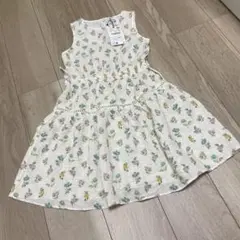 Item thumbnail for item c0f34a16-5132-4acb-8f6d-432cb95a0ee6