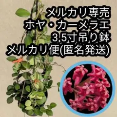 さつまま様 リクエスト 3点 まとめ商品 同梱割引適用済 - メルカリ