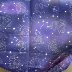 かえるのピクルス 保冷保温トート 宇宙柄