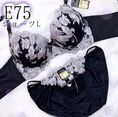 Item thumbnail for item fc0d4e72-91ce-4e1d-80b0-39e1fba974ec