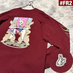 【希少デザイン】FR2 ロンＴ バックビッグプリント センターロゴ 袖ファイヤーのサムネイル