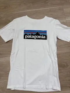 パタゴニア　Tシャツのサムネイル
