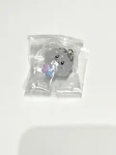 treasure TRZE ドヨン　めじるしアクセサリー　SOM