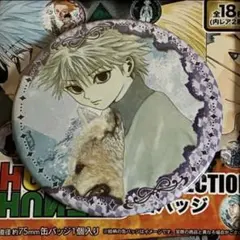 HUNTER×HUNTER コレクション缶バッジ キルア 10枚 ハンターハンター HUNTER×HUNTER コレクション缶バッジ キルア
