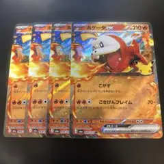 호게이터 ex RR 30th 4장 세트