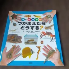 sh★st様 リクエスト 2点 まとめ商品