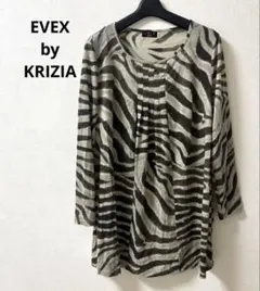 Item thumbnail for item 08768c3e-d7af-4383-9596-a65d46c2c650