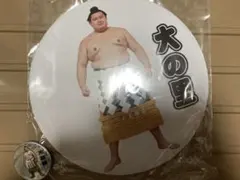 未開封 大相撲 大の里 スタンド付きBIG缶バッジ 横綱 二所ノ関部屋 稀勢の里