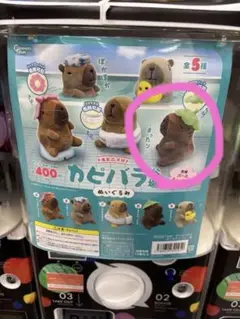 お風呂大好き　カピバラ　浴場　ぬいぐるみ