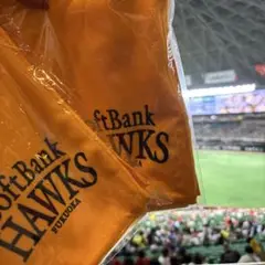 0907 限定福岡ソフトバンクホークス 応援タオル