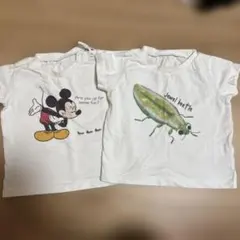 insect collection インセントコレクション　Tシャツ2枚セットのサムネイル