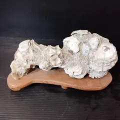 Item thumbnail for item 80ecc77f-0324-464f-88cd-150e7283b819