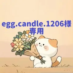 egg.candle.1206様　専用(12/12迄)