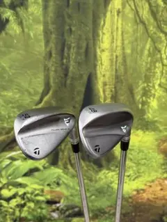 Item thumbnail for item 16732580-4d1a-4911-b114-922190a69fef