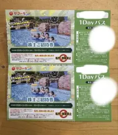 東京サマーランド 1Dayパス 株主招待券　2枚のサムネイル