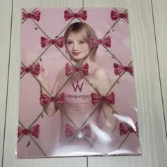 TWICE モモ Wonjungyo クリアファイル