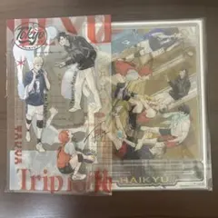 つ*ね様 ジャンプGIGA 2024 AUTUMN ハイキュー!!付録　　2点セ