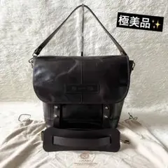 極美品✨GANZO GUD HORWEEN メッセンジャー　ショルダーバッグのサムネイル