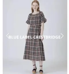 【お値下げしました】シアークレストブリッジタータンチェックシャツブラウス
