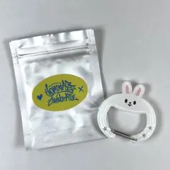 スキズ celebrATE ソウルコン カラビナ リノ ④