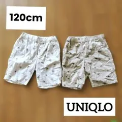 UNIQLO ホワイト ベージュ 半ズボン 動物柄 保育園 まとめ売り